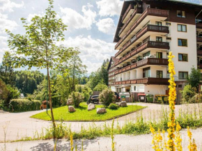 Stellar Apartment in Bad Goisern with Swimming Pool, Steinach Am Brenner